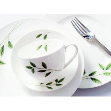 20 Pieces Porcelain Western Dinner Set (LFR6433)